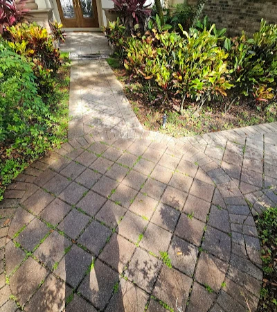 Excellent pressure washing services