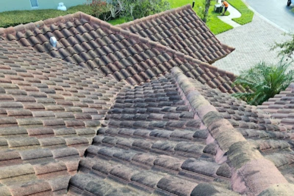 Roof Cleaning Services