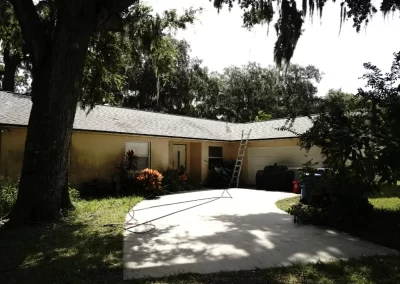 Roof Cleaning Services